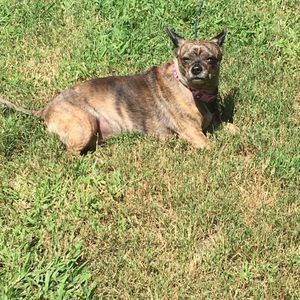 Meet your Posher, Emma